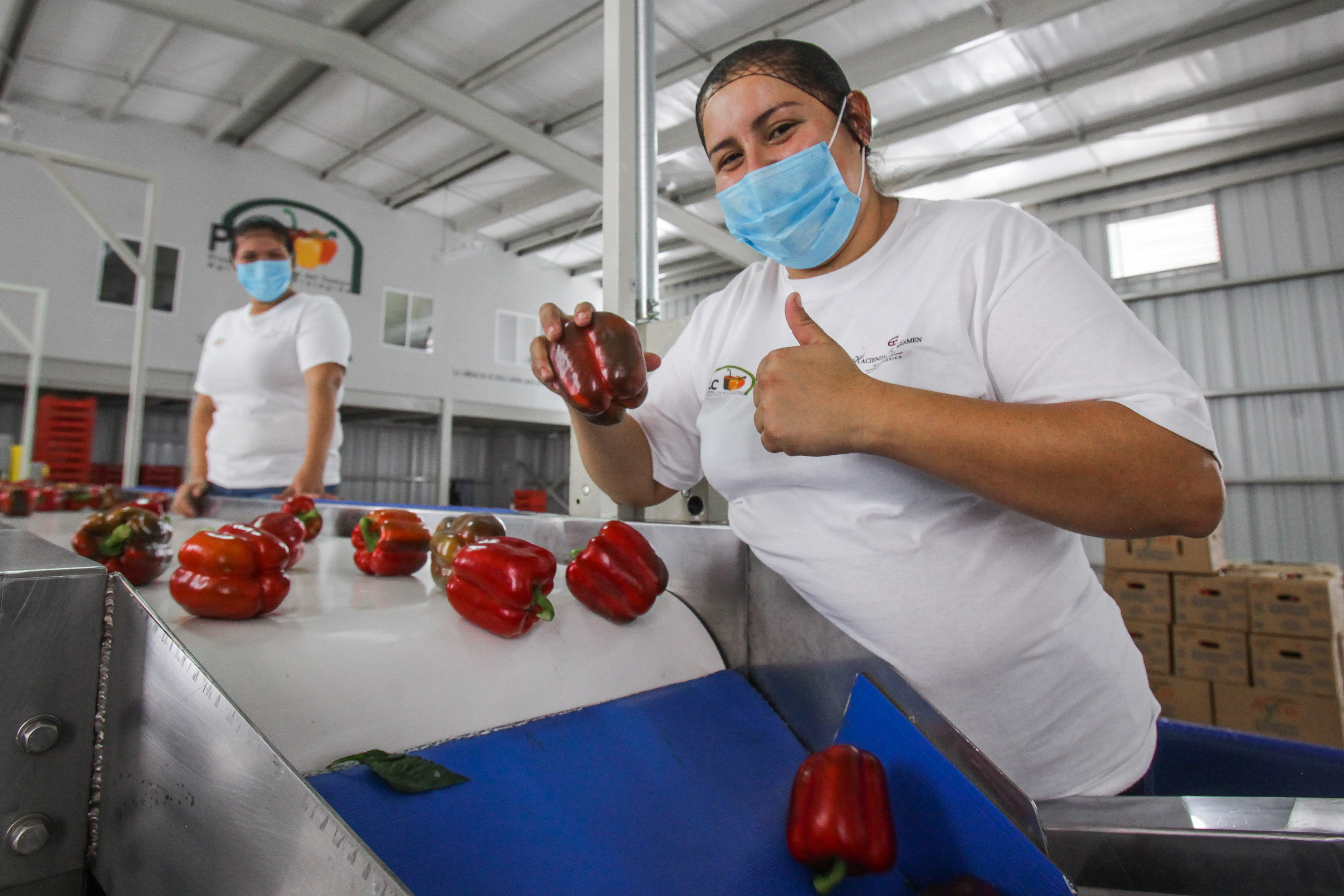 Crecen 8.6 por ciento exportaciones agroalimentarias de México